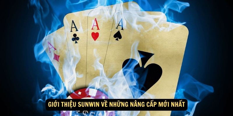 Giới thiệu lịch sử hình thành và phát triển của Sunwin